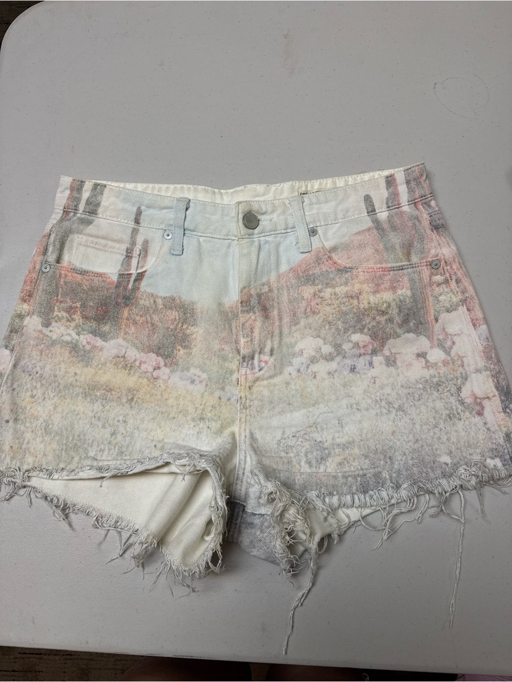 BLANK High Rise Cut Off Shorts